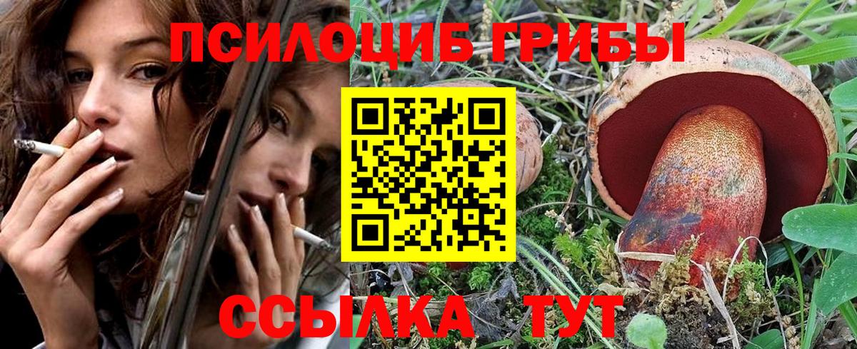 Псилоцибиновые грибы Cubensis Сунжа