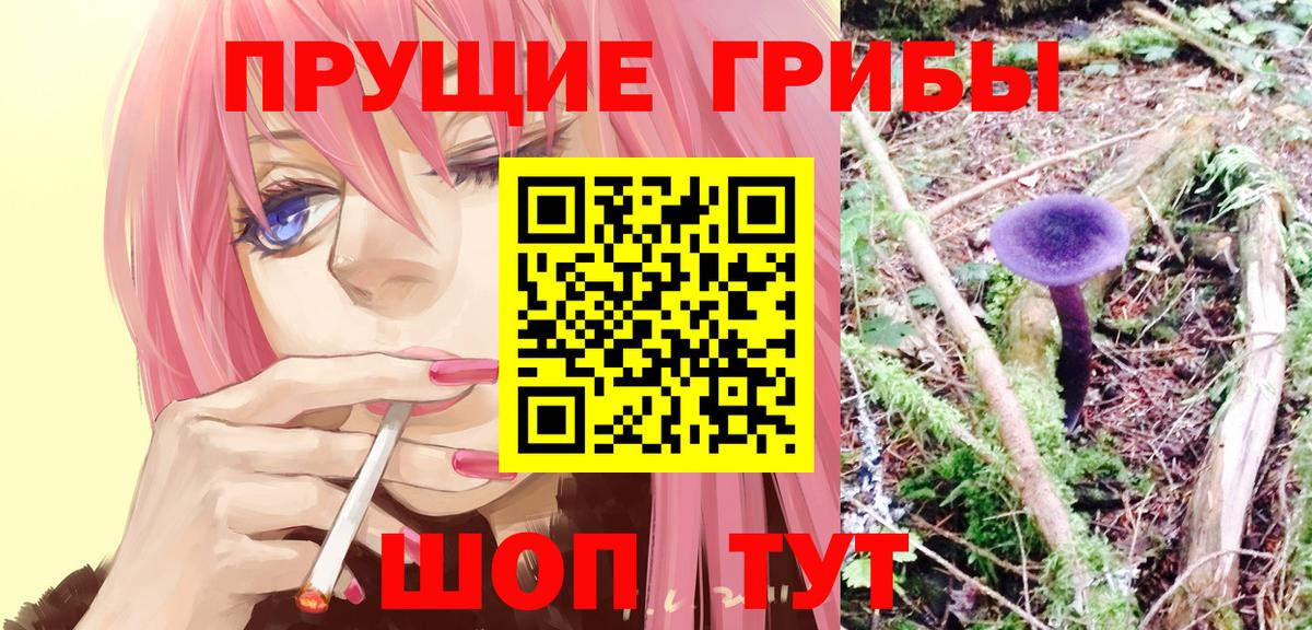 Галлюциногенные грибы мухоморы  Псилоцибиновые грибы Psilocybine cubensis  Вход с VPN  Сунжа 